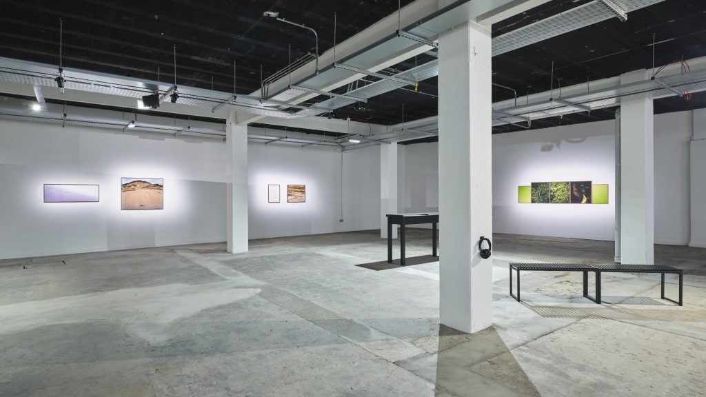 Photograph by Ros Kavanagh